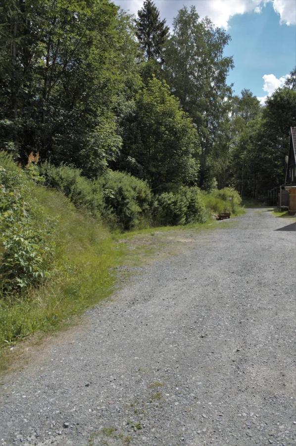 Appartamento Haus Erna Schierke Esterno foto
