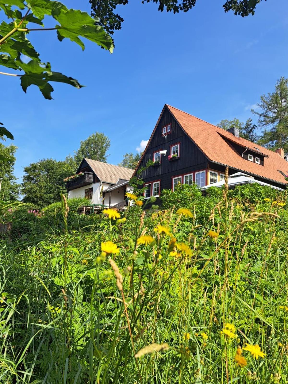 Appartamento Haus Erna Schierke Esterno foto