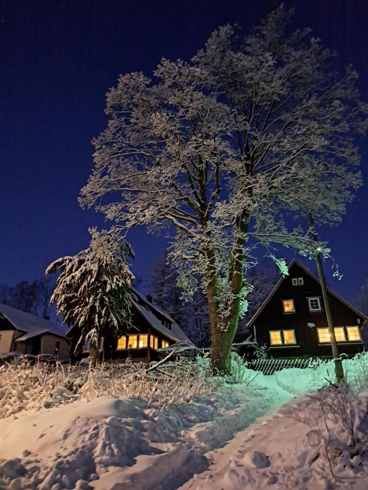 Appartamento Haus Erna Schierke Esterno foto