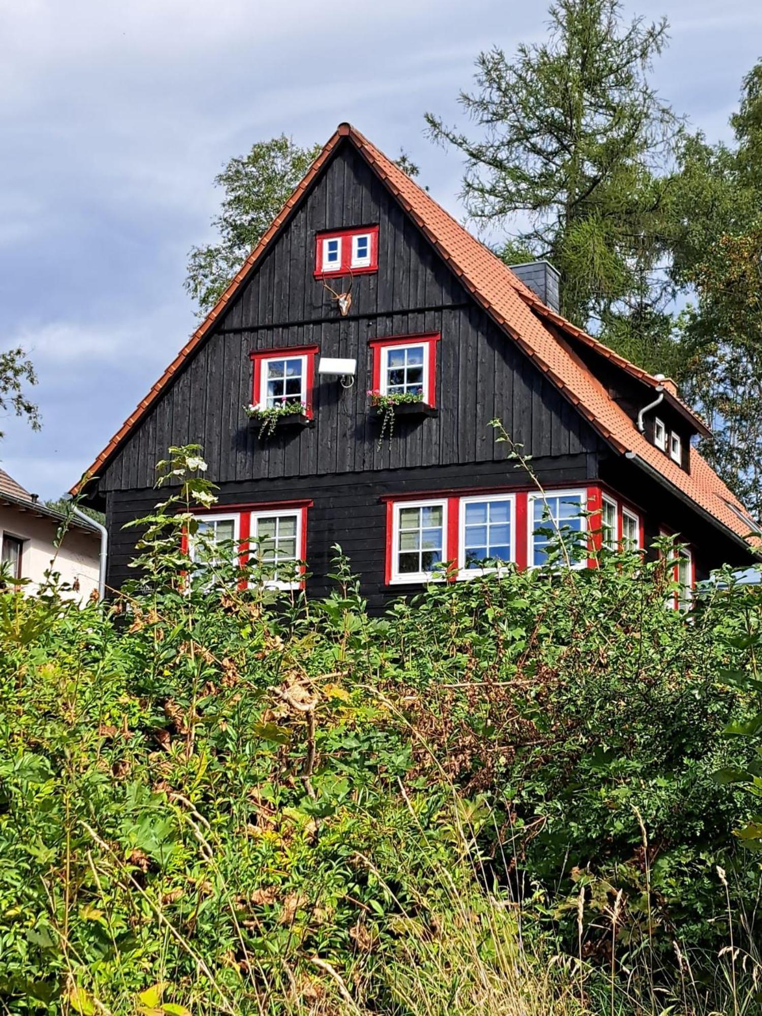 Appartamento Haus Erna Schierke Esterno foto